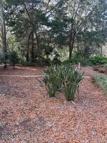 $4,300 | 12238 Spiney Ridge Drive South, Jacksonville, FL 32225