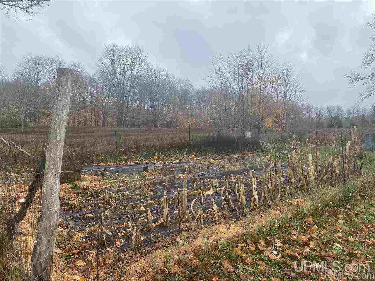 E12689 County Rd H-58 Shingleton, MI 49884 - Photo 29 of 35