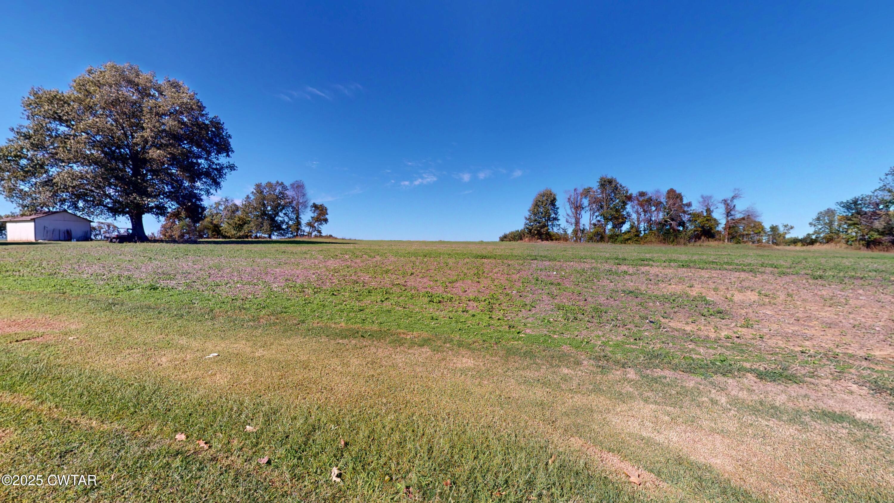 206 Tull Road Kenton, TN 38233 - Photo 33 of 34 a view of a field with trees