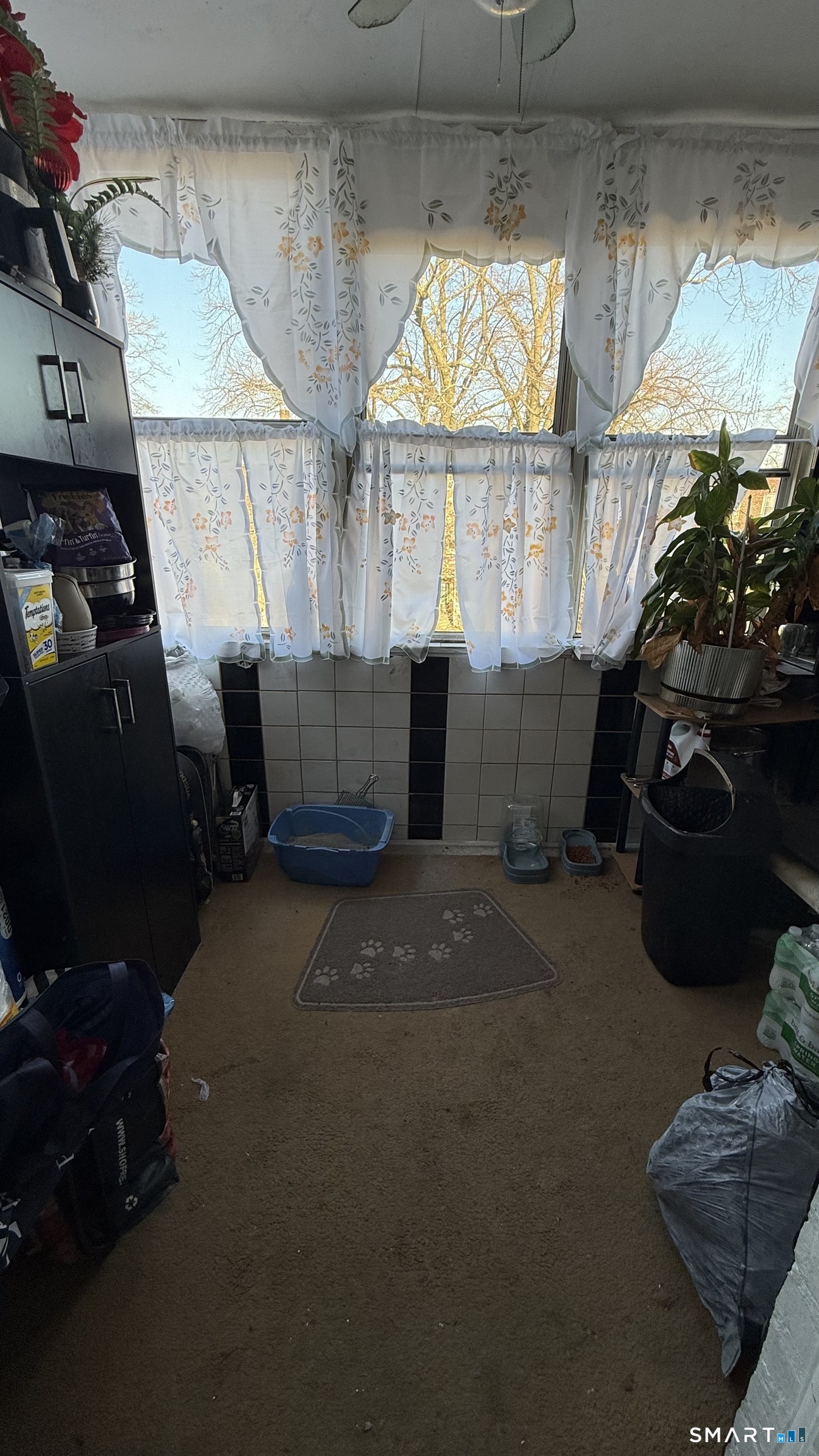 644 Carroll Avenue, Unit 5 Bridgeport, CT 06607 - Photo 8 of 10