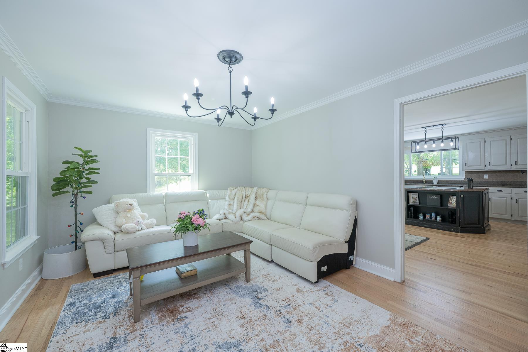 251 Williams Road Pelzer, SC 29669 - Photo 9 of 41