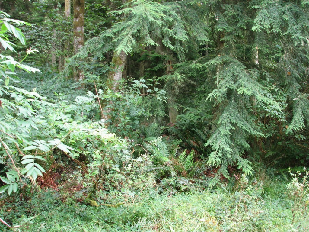 1111 Pilchuck Road Greenbank, WA 98253 - Photo 1 of 4 Gallery Image 1