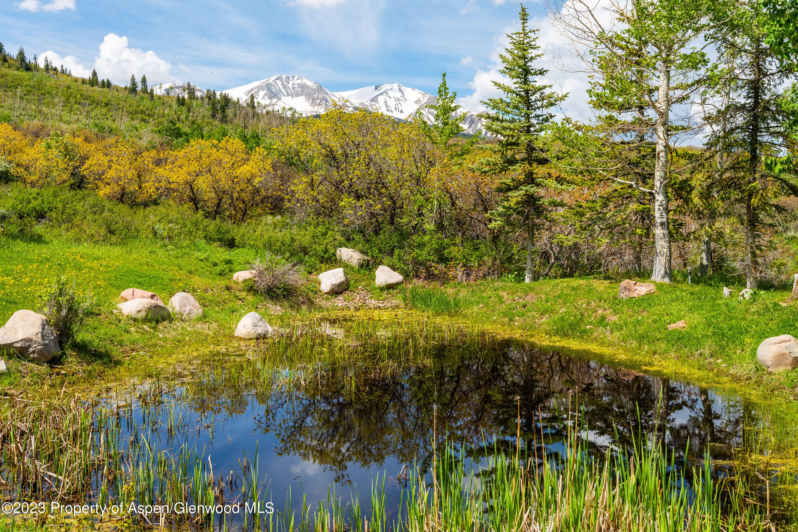 2088 Old Herron Road Basalt, CO 81621 - Photo 29 of 38 a view of yard with green space