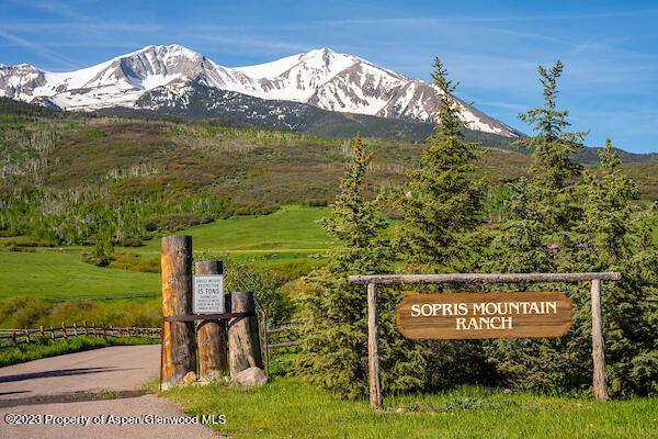 2088 Old Herron Road Basalt, CO 81621 - Photo 34 of 38 a view of a street with an ocean view