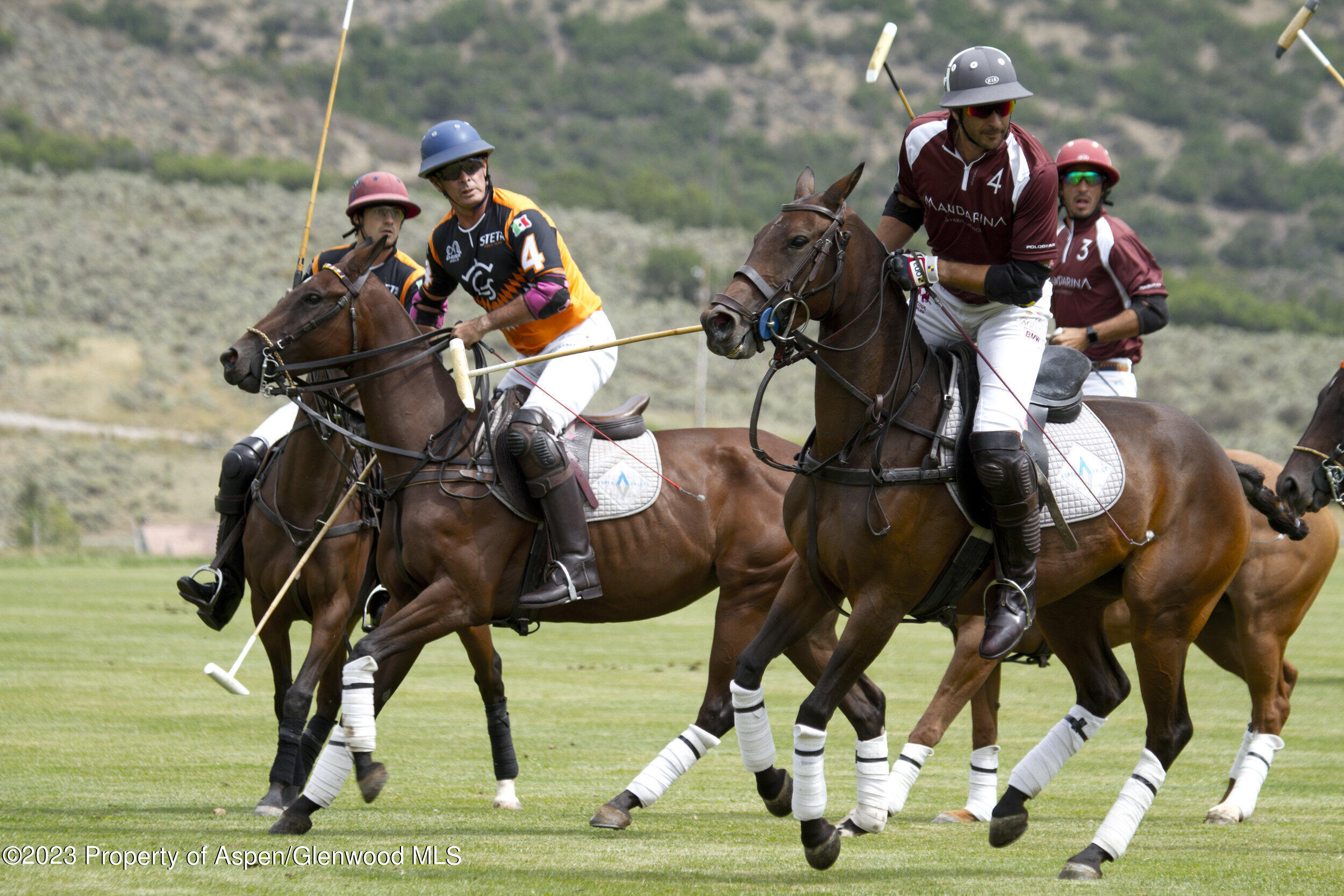 2088 Old Herron Road Basalt, CO 81621 - Photo 4 of 38