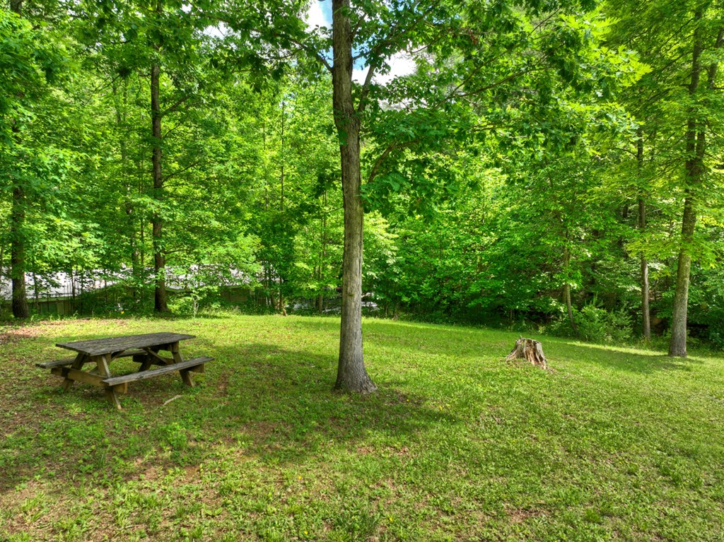 665 Ridgeview Road Morganton, GA 30560 - Photo 7 of 34