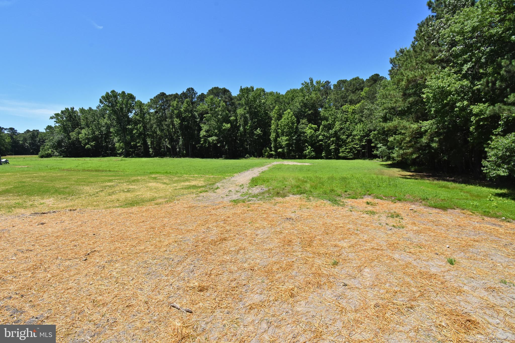 28459 Venton Road Princess Anne, MD 21853 - Photo 53 of 53