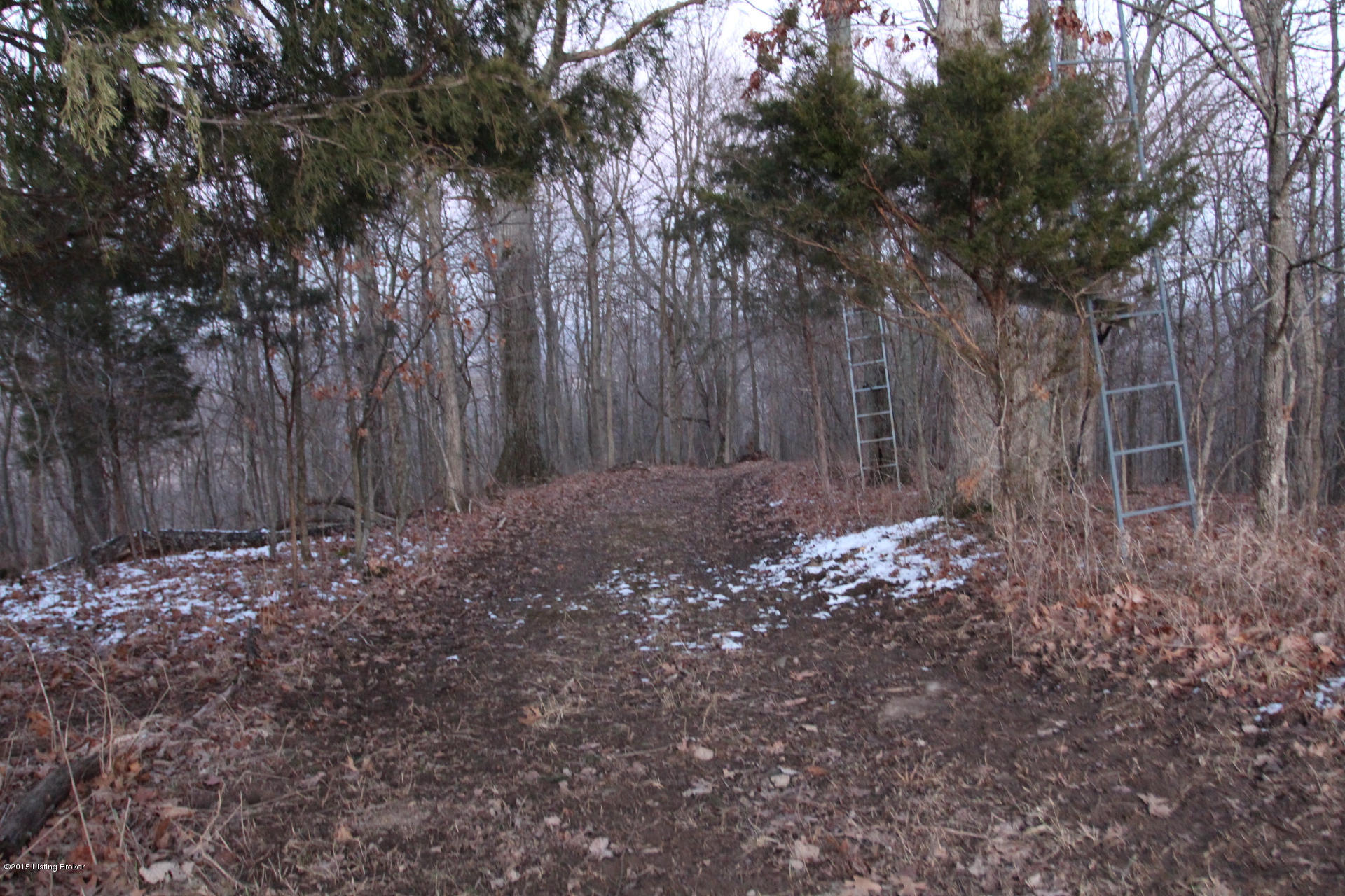 0 Penny Winkle Road Lockport, KY 40036 - Photo 18 of 21 Pennywinkle_19