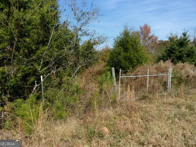 $309,660 | 0 River Road, Carlton, GA 30627