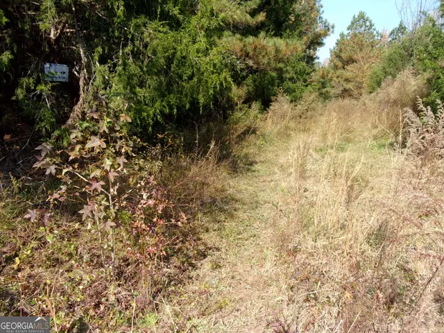 $309,660 | 0 River Road, Carlton, GA 30627