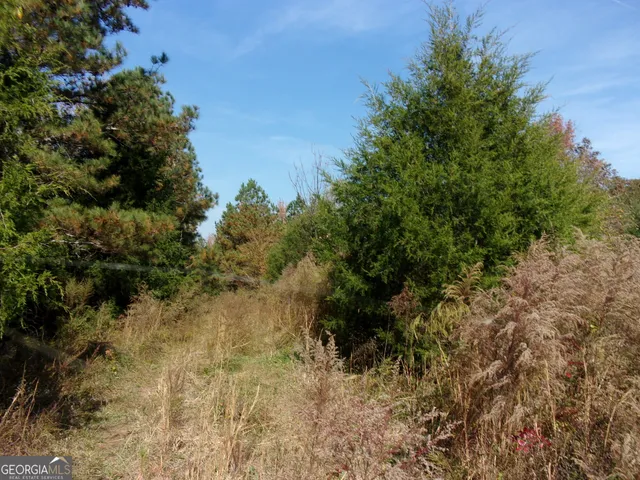 $309,660 | 0 River Road, Carlton, GA 30627