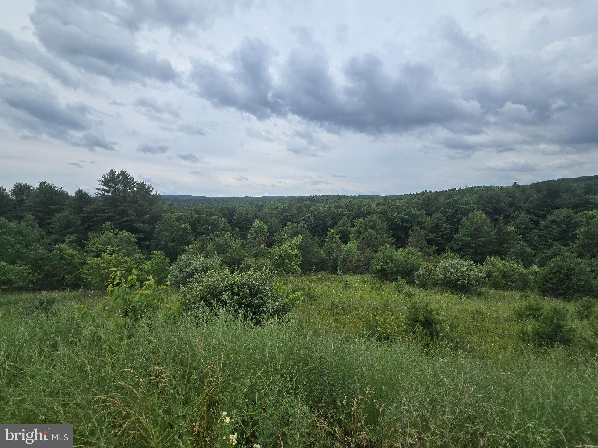 4081 Scootac Road Beech Creek, PA 16822 - Photo 45 of 45 Serene Greenery Under Cloudy Skies