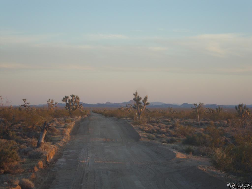 330 South Horseshoe Road Yucca, AZ 86438 - Photo 8 of 23 View to the South