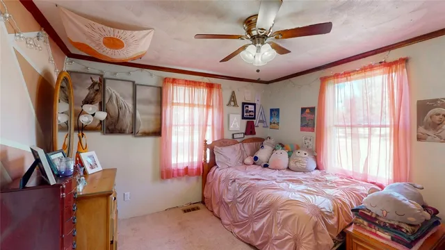 $295,000 | 63 Maple Street, Bath, NY 14879