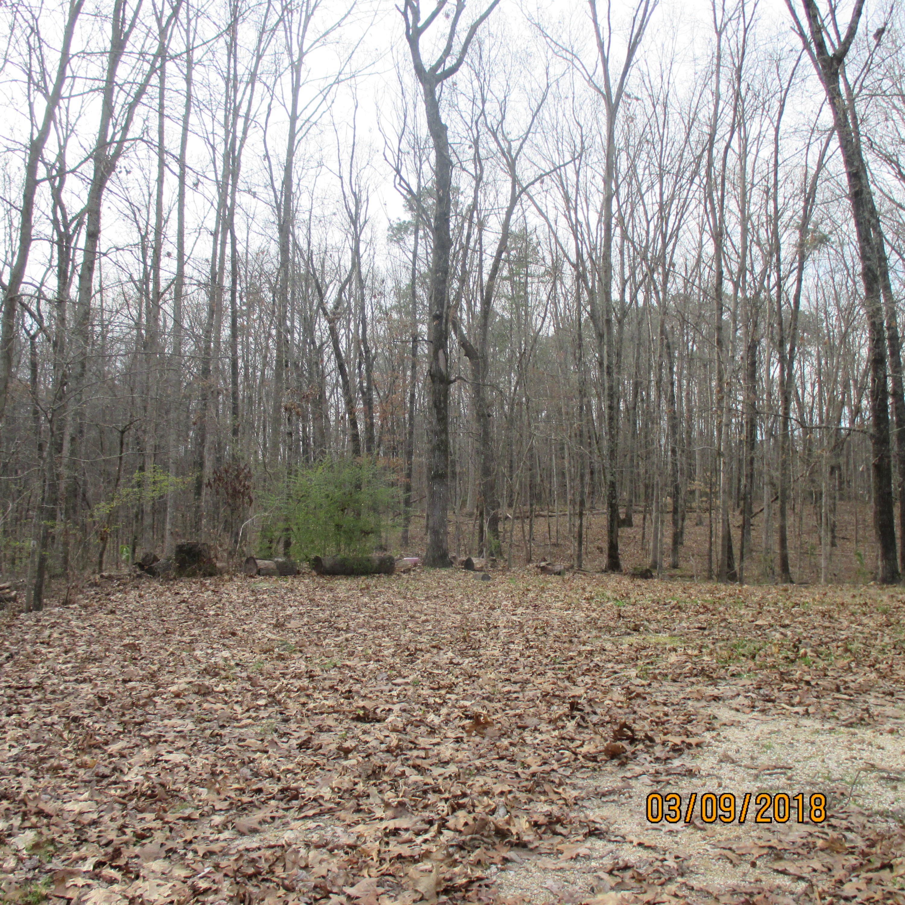 285 South Forest Road Chickamauga, GA 30707 - Photo 3 of 26 IMG_5847