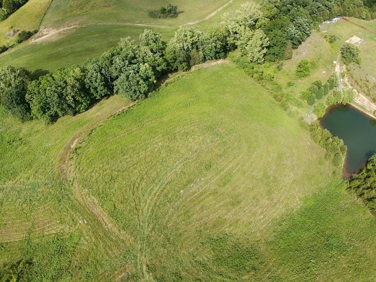 1970 Mountain Valley Road Mohawk, TN 37810 - Photo 46 of 53 Partial fencing!