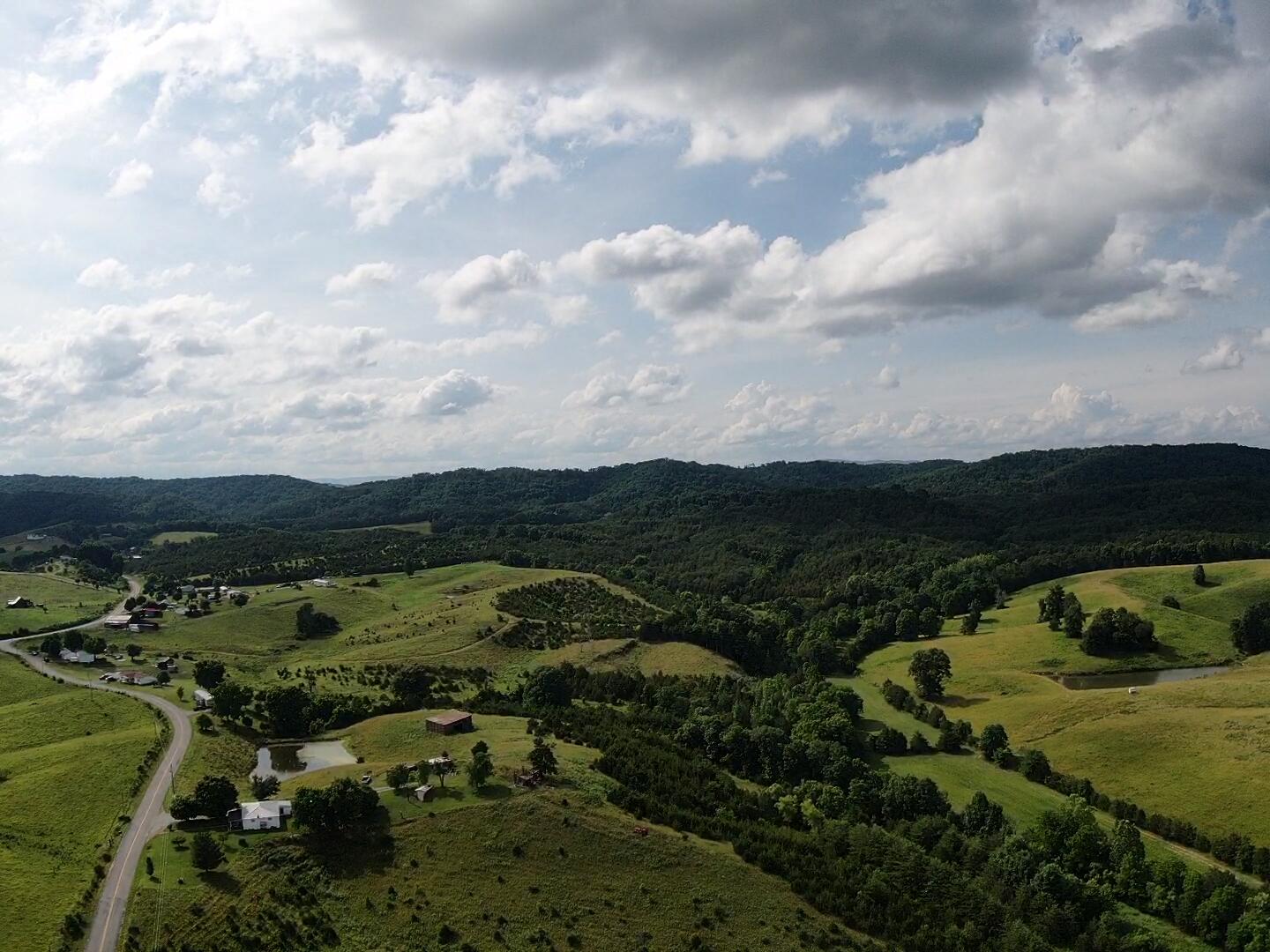 1970 Mountain Valley Road Mohawk, TN 37810 - Photo 6 of 53 Gorgeous area!