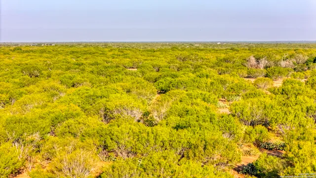 a view of beach and swimming pool