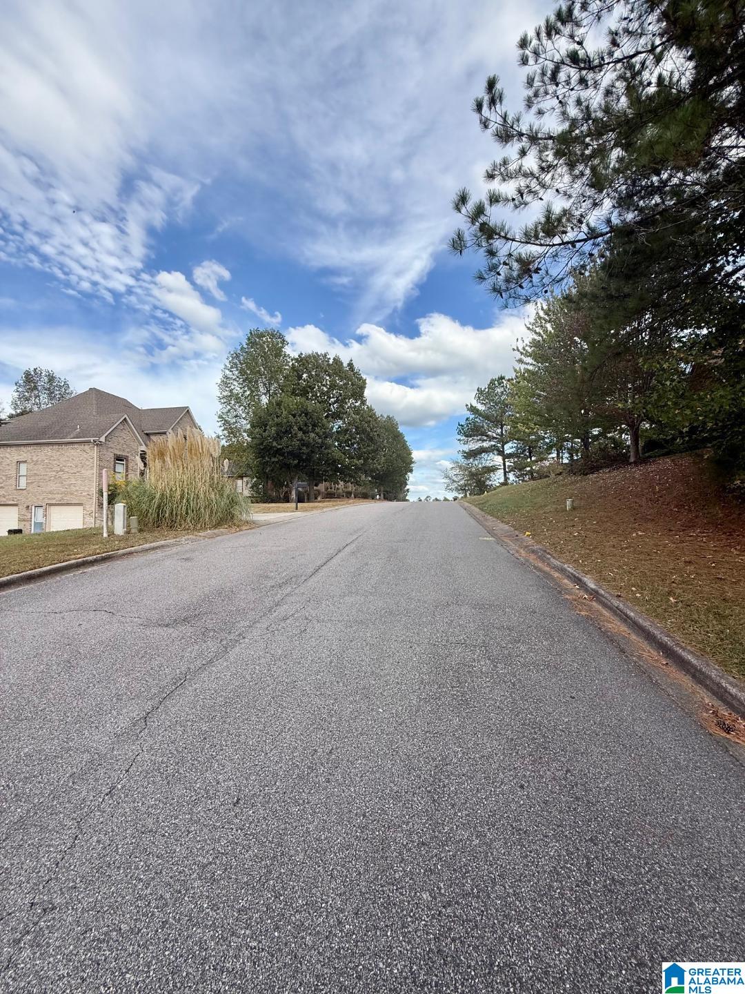325 Deer Ridge Lane, Unit 29 Chelsea, AL 35043 - Photo 3 of 17