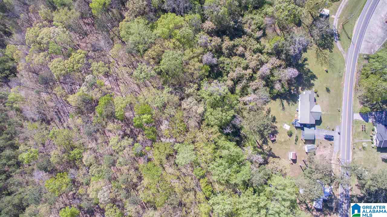 7037 Highway 10 Montevallo Al Montevallo, AL 35115 - Photo 35 of 35