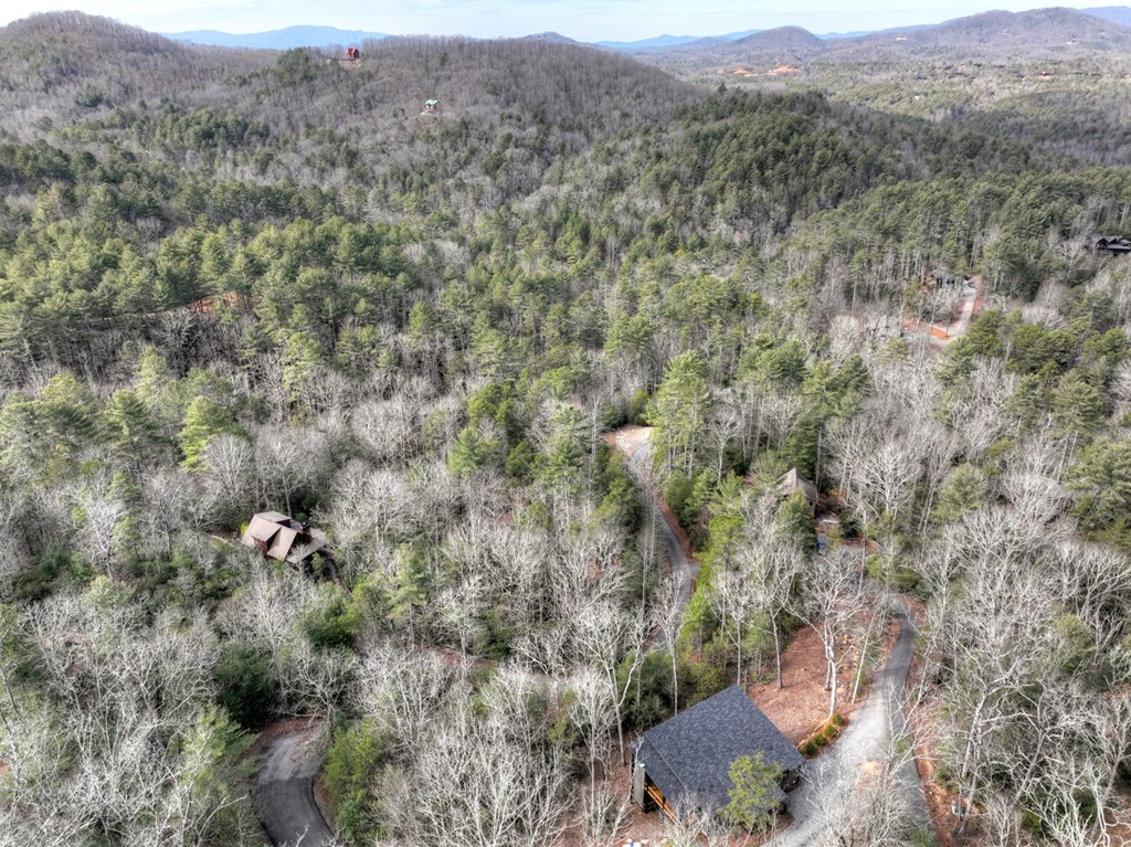 238 Hooch Holler Lane Morganton, GA 30560 - Photo 8 of 49 an aerial view of forest