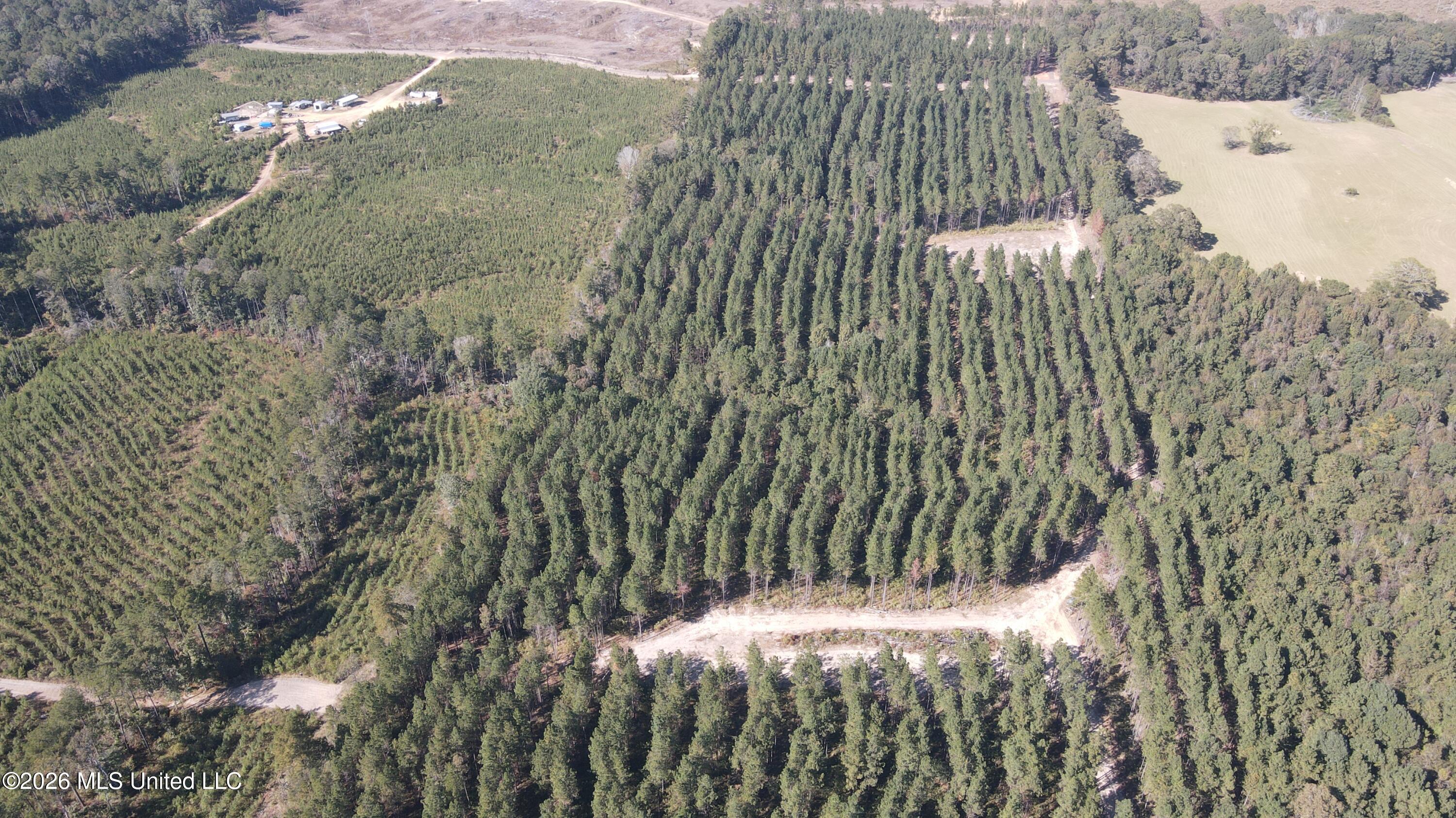 Loyd Irby Road Pelahatchie, MS 39145 - Photo 25 of 30 DJI_0211