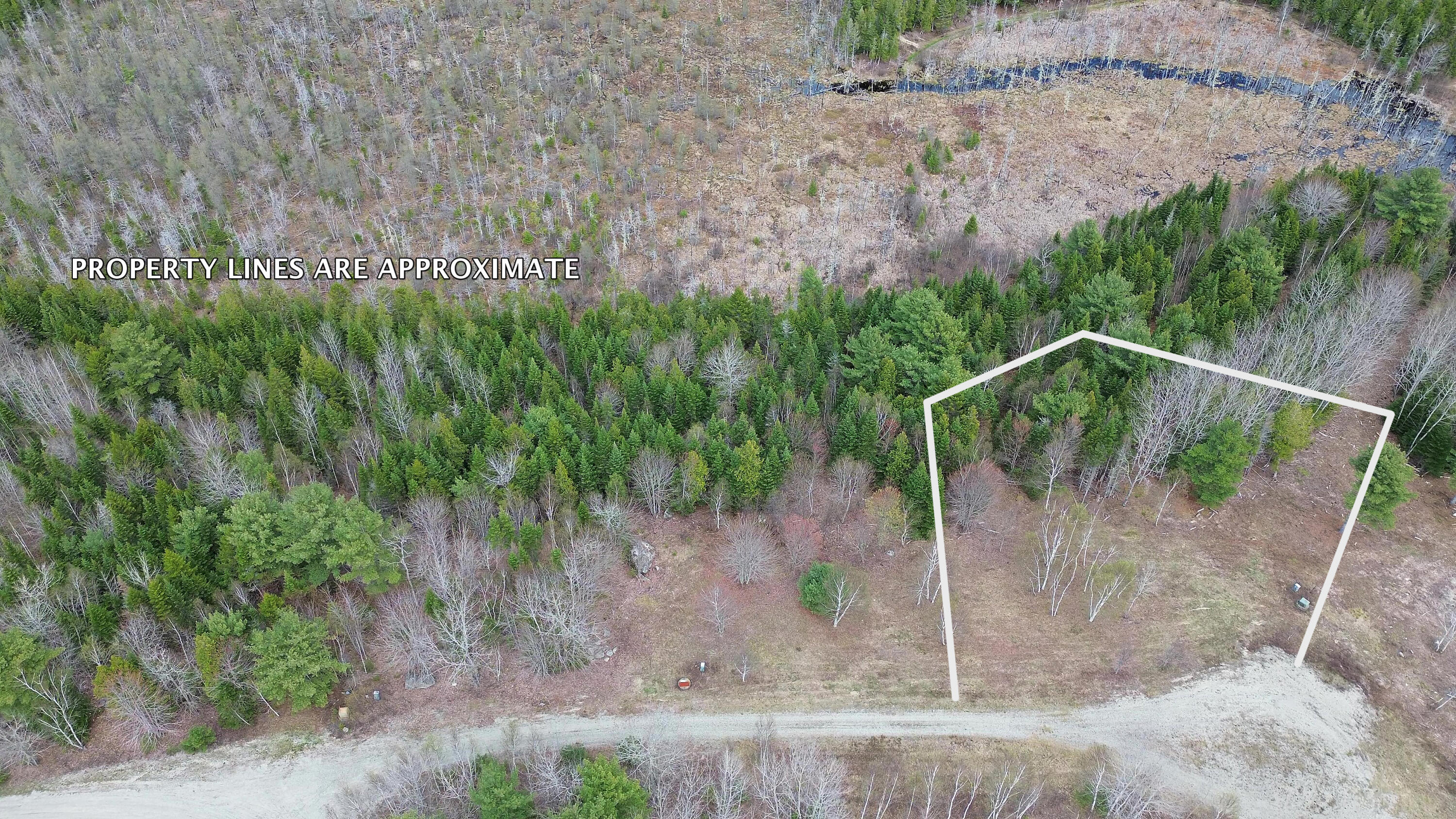 Lot 18 Bailey Mountain Road Franklin, ME 04634 - Photo 5 of 14