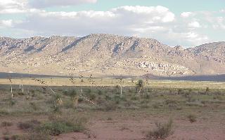 0 Rodeo Ranch Rodeo, AZ 88056 - Photo 2 of 3