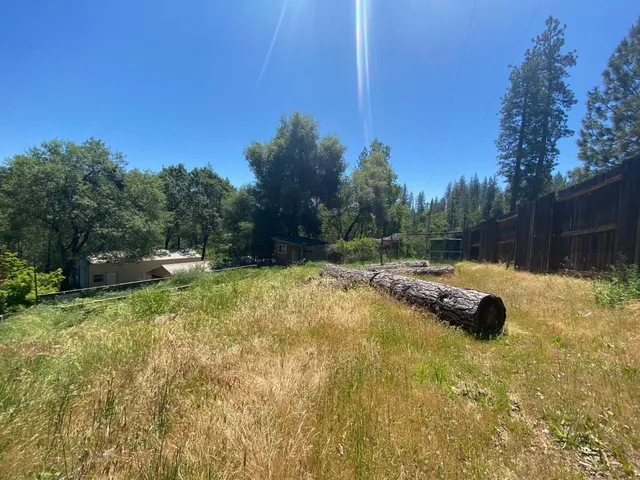 a backyard of a house with lots of green space