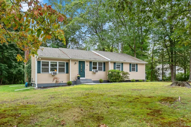 a front view of a house with yard and green space