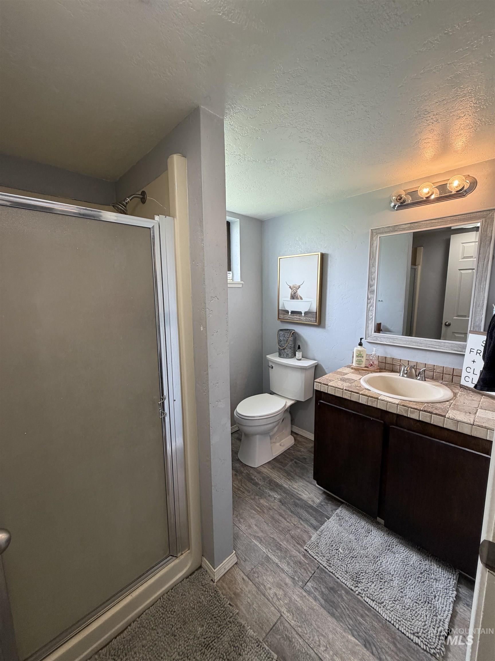 1452 Weiser River Road Weiser, ID 83672 - Photo 16 of 40 Bathroom featuring a stall shower, a textured ceiling, vanity, and dark wood-type flooring