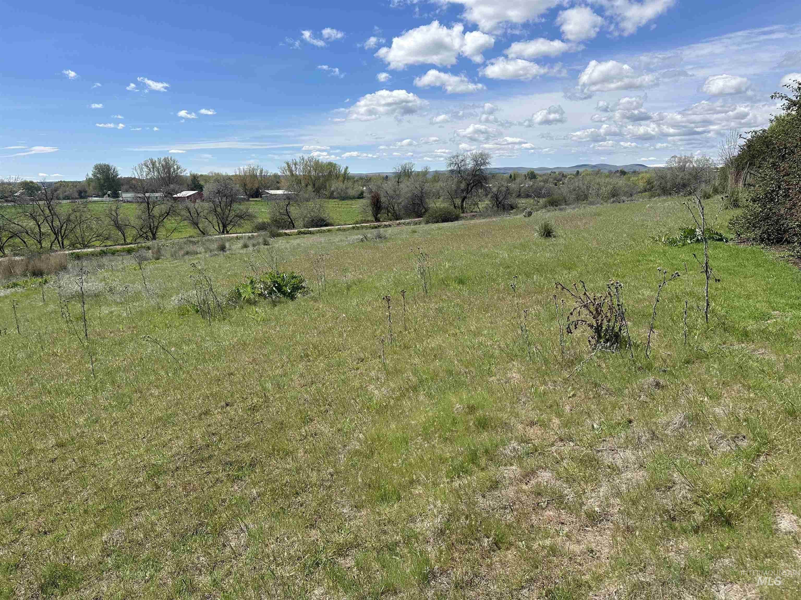 1452 Weiser River Road Weiser, ID 83672 - Photo 28 of 38 View of yard with a view of countryside