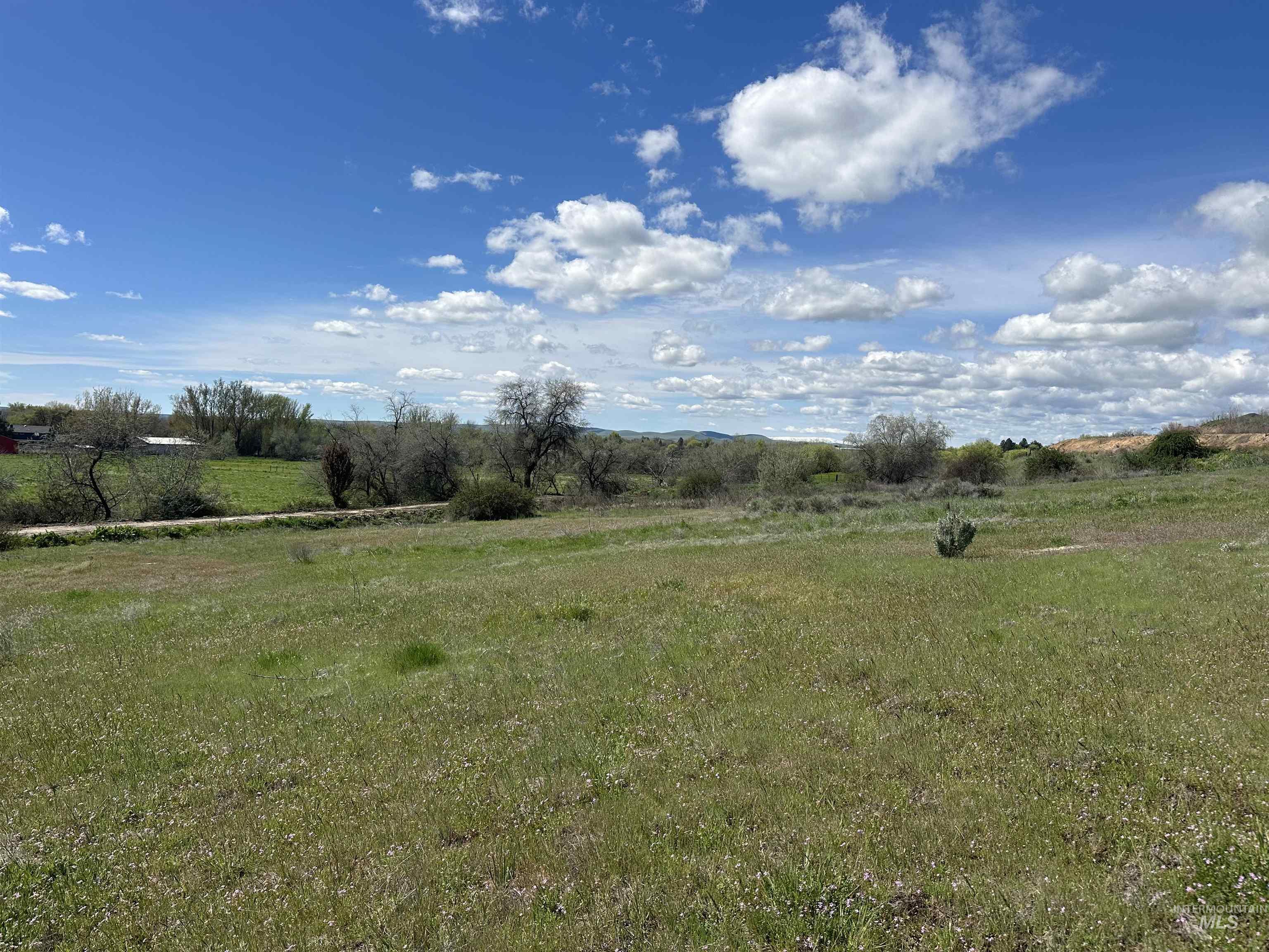 1452 Weiser River Road Weiser, ID 83672 - Photo 32 of 38 View of green lawn with a view of rural / pastoral area