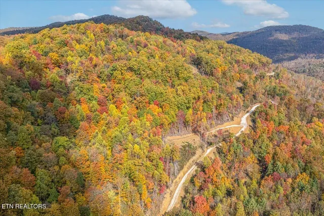 $440,000 | 0 Buffalo Road, Oneida, TN 37841