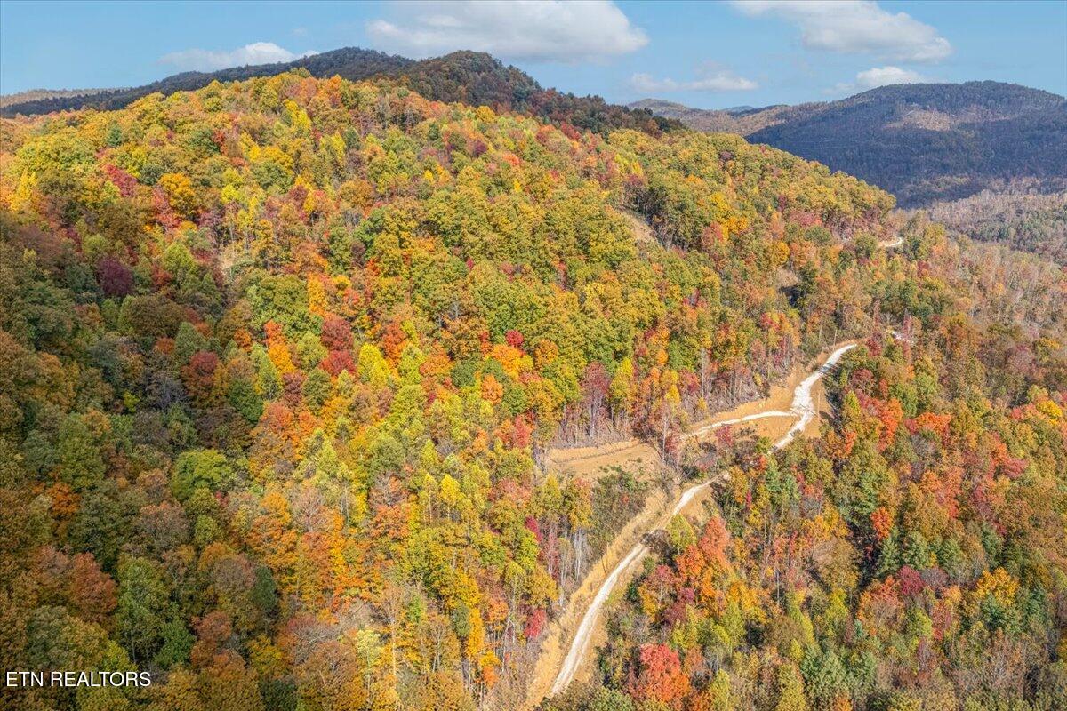 0 Buffalo Road Oneida, TN 37841 - Photo 11 of 51 03-Lot Line A1