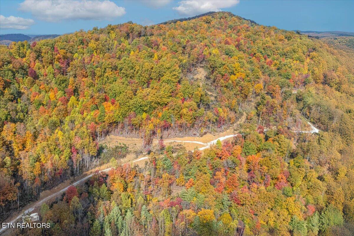 0 Buffalo Road Oneida, TN 37841 - Photo 13 of 51 05-Lot Line A3