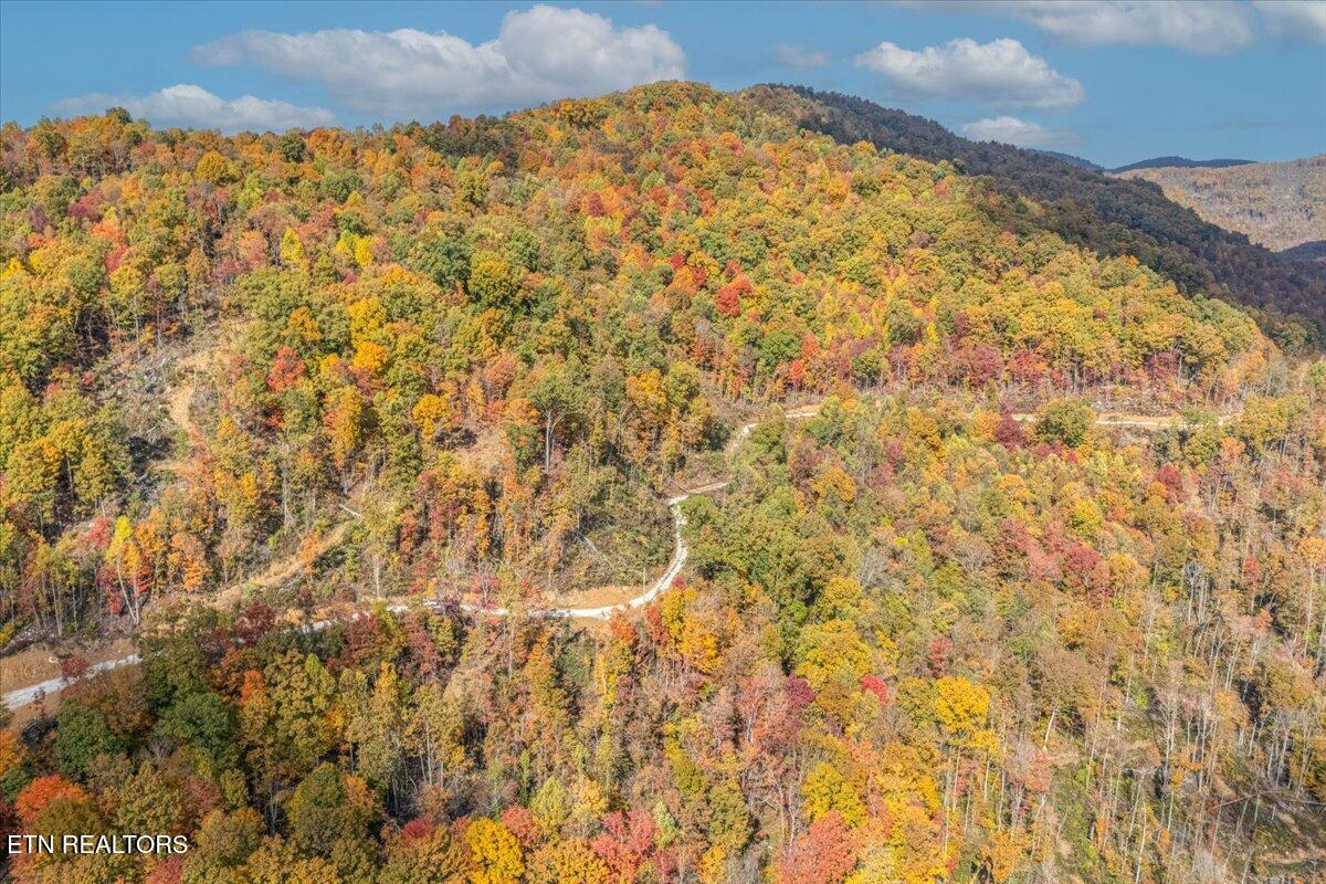 0 Buffalo Road Oneida, TN 37841 - Photo 15 of 51 07-Lot Line A5