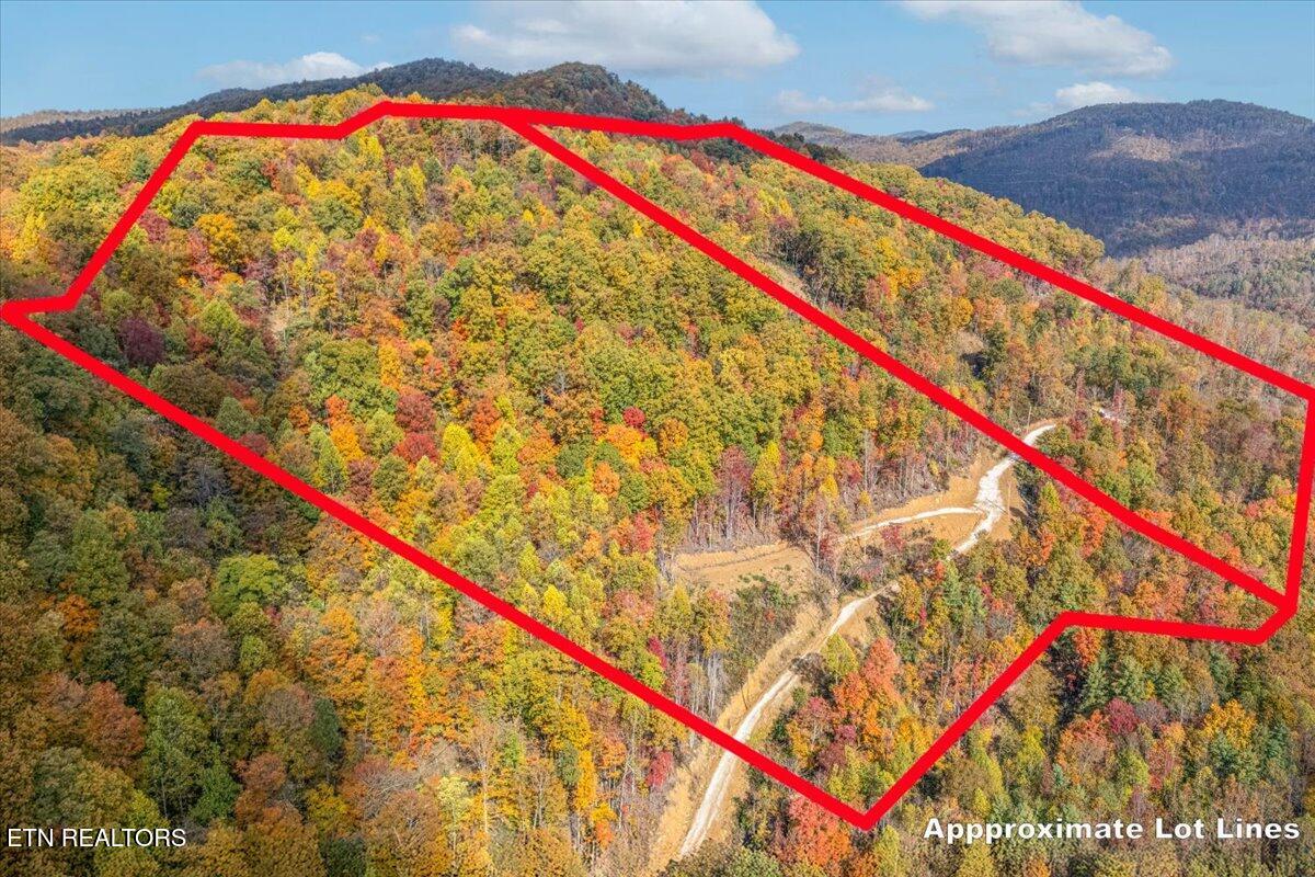 0 Buffalo Road Oneida, TN 37841 - Photo 15 of 51 04-Lot Line A2