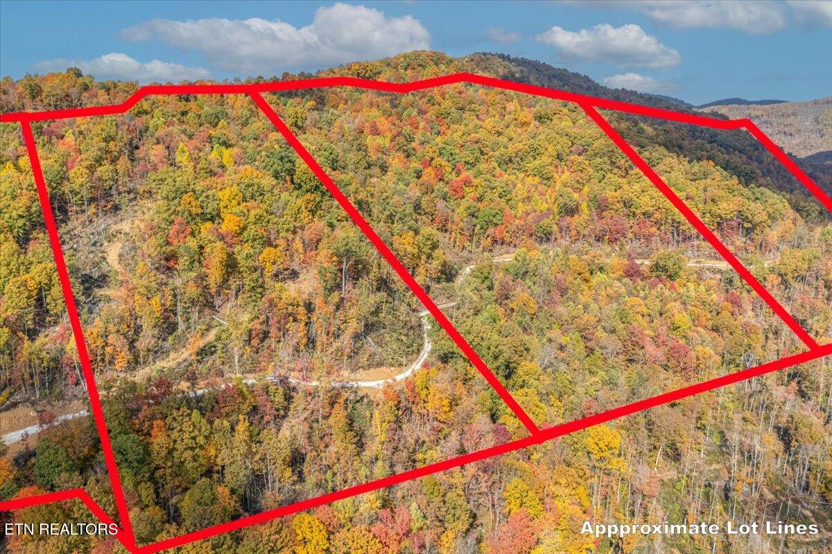 0 Buffalo Road Oneida, TN 37841 - Photo 16 of 51 08-Lot Line A6