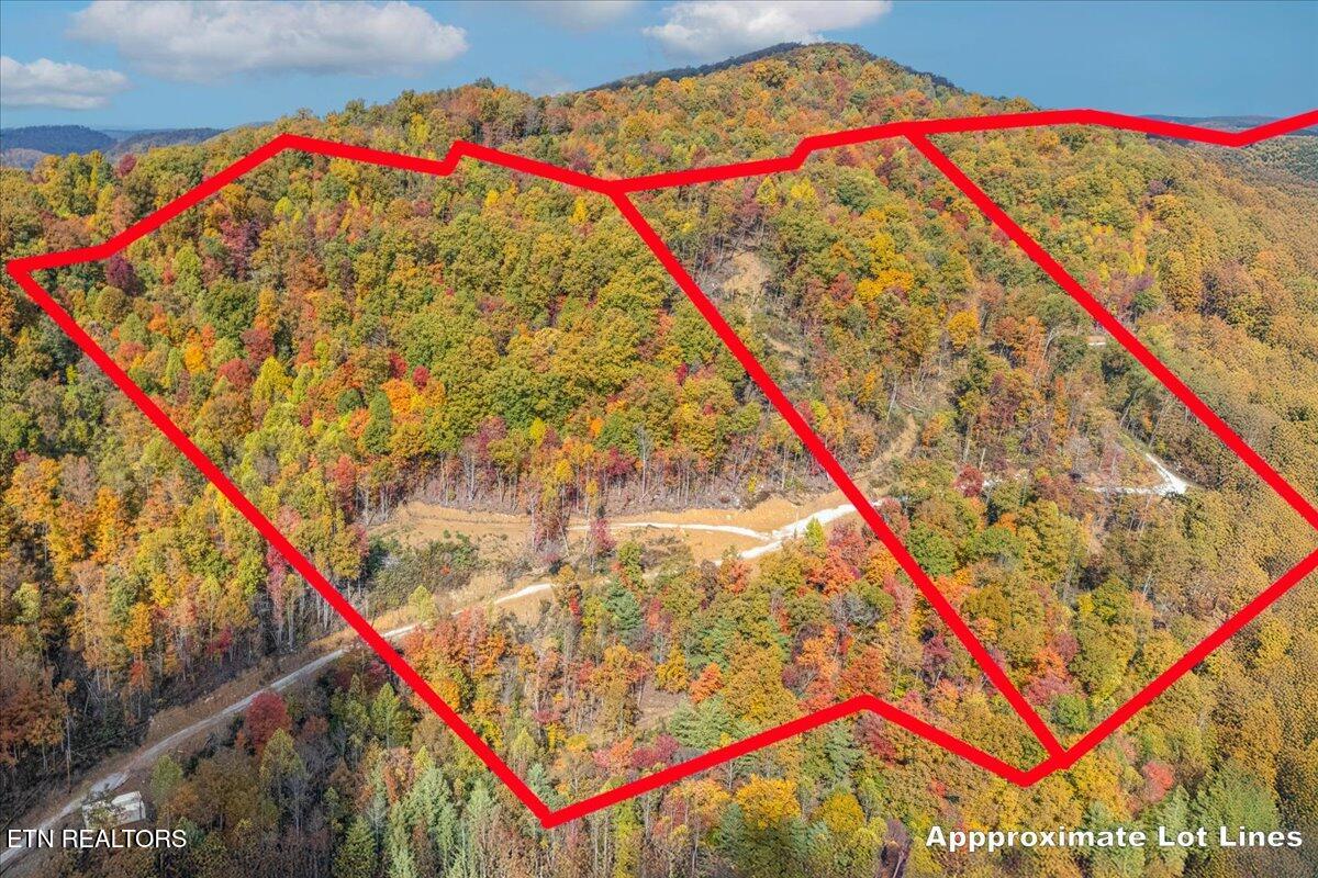 0 Buffalo Road Oneida, TN 37841 - Photo 17 of 51 06-Lot Line A4