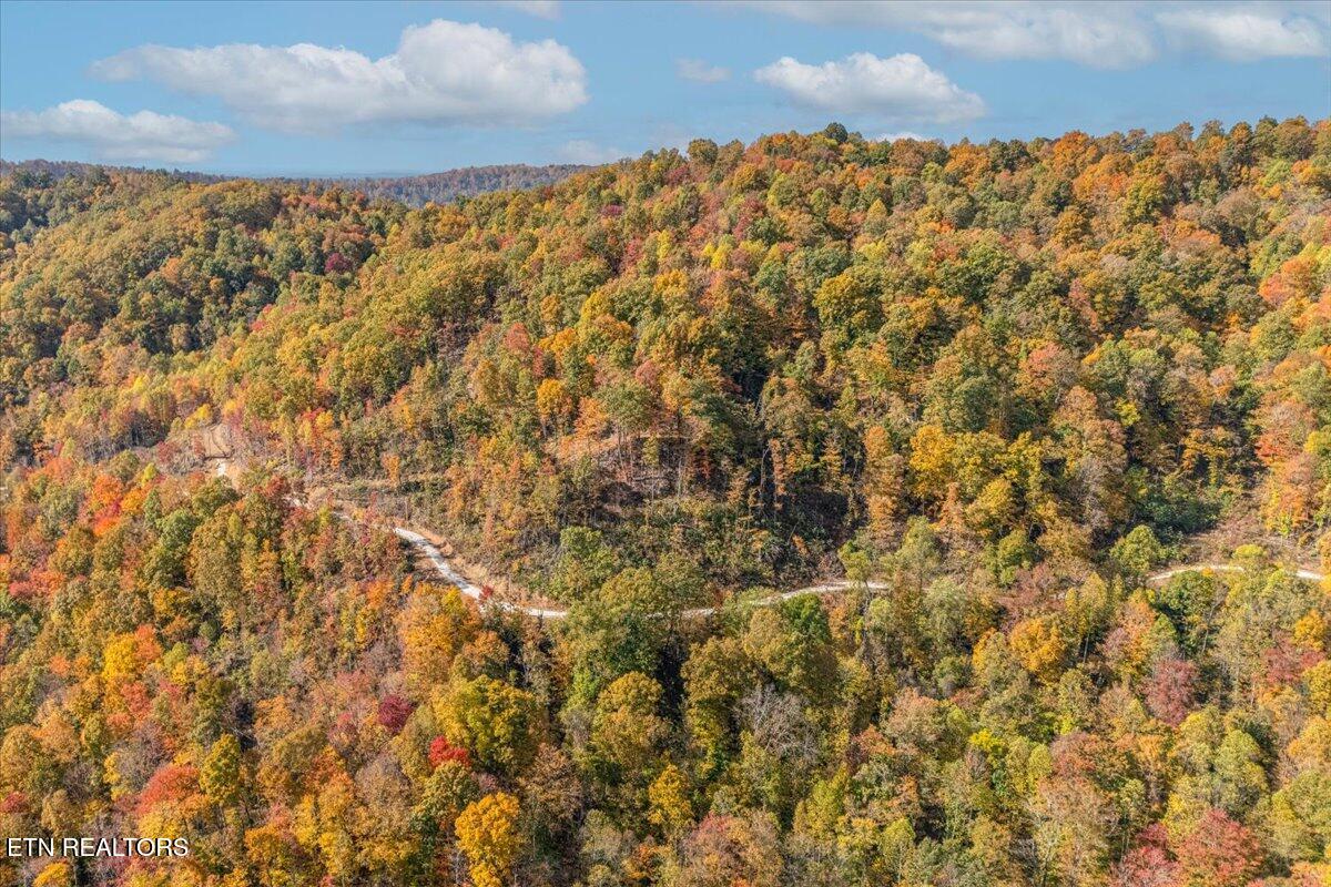 0 Buffalo Road Oneida, TN 37841 - Photo 17 of 51 09-Lot Line A7