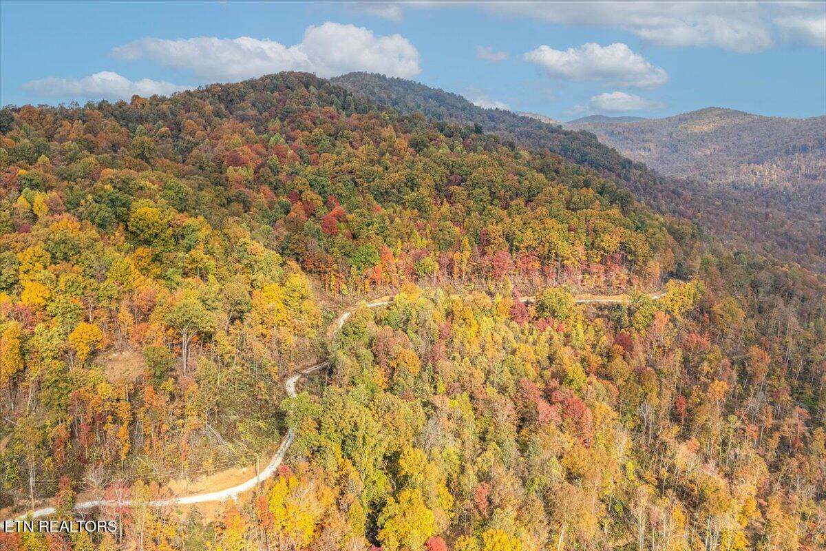 0 Buffalo Road Oneida, TN 37841 - Photo 19 of 51 11-Lot Line A9