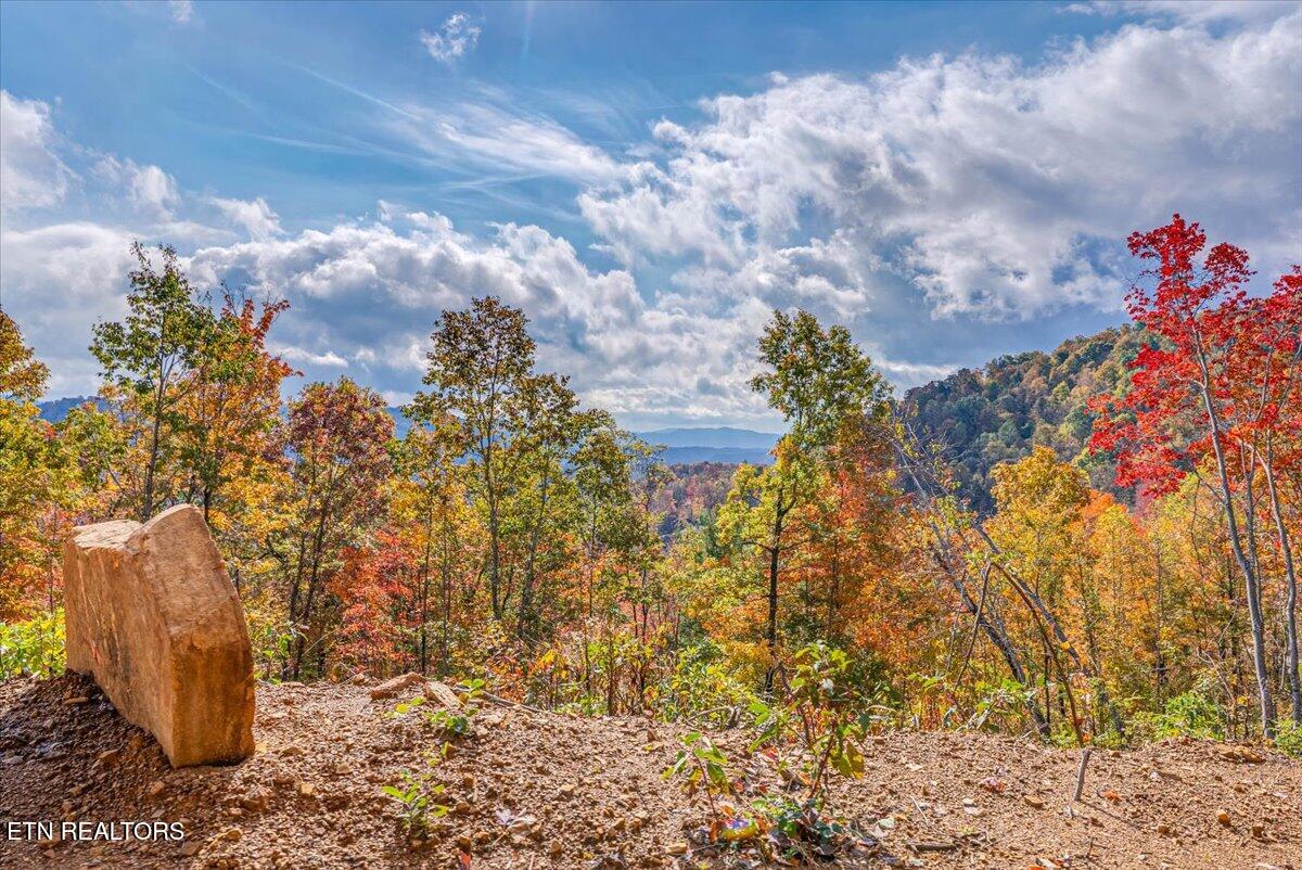 0 Buffalo Road Oneida, TN 37841 - Photo 2 of 51 4-Extra View A4