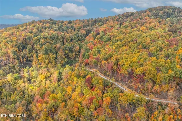 $440,000 | 0 Buffalo Road, Oneida, TN 37841