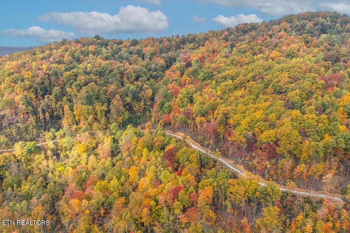 0 Buffalo Road Oneida, TN 37841 - Photo 21 of 51 13-Lot Line A11