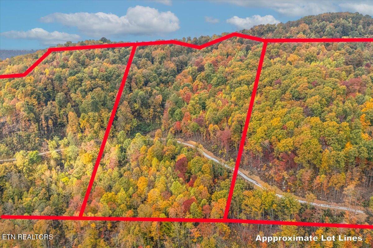 0 Buffalo Road Oneida, TN 37841 - Photo 22 of 51 14-Lot Line A12