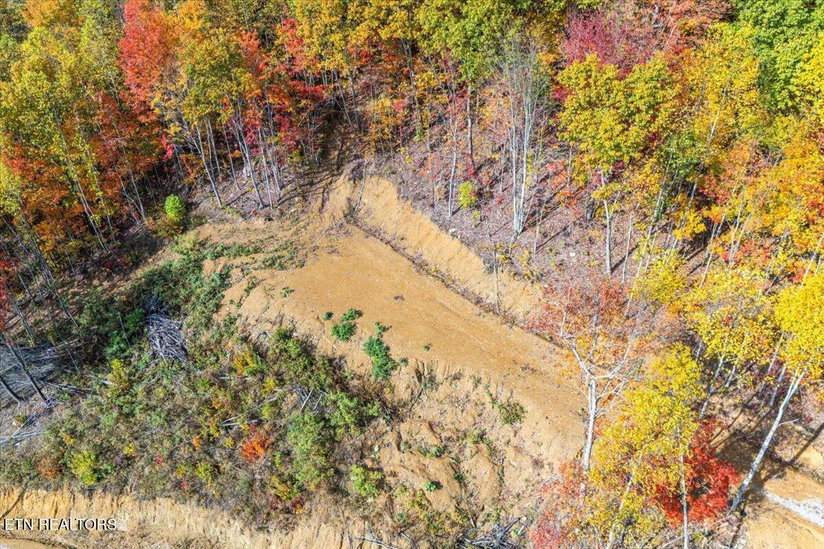 0 Buffalo Road Oneida, TN 37841 - Photo 23 of 51 15-1st Clearing A1