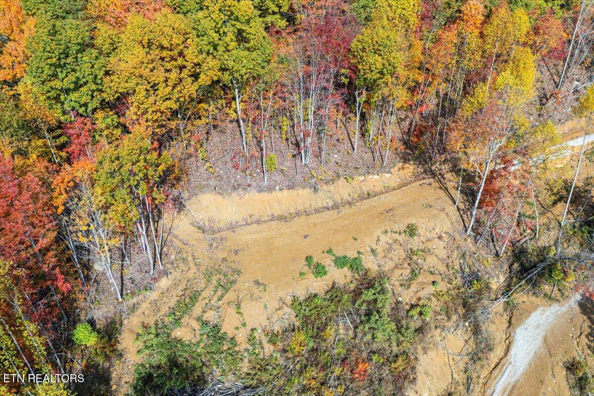 0 Buffalo Road Oneida, TN 37841 - Photo 24 of 51 16-1st Clearing A2