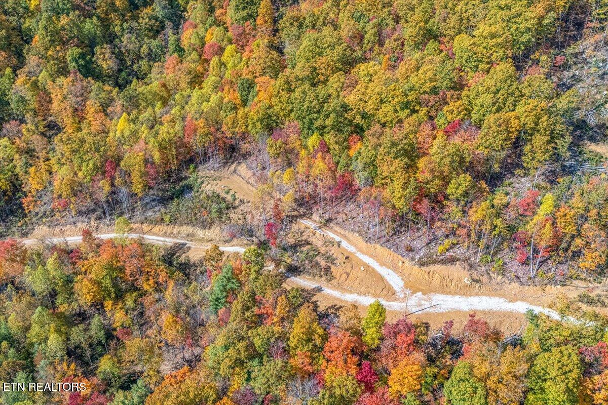 0 Buffalo Road Oneida, TN 37841 - Photo 25 of 51 17-1st Clearing A3