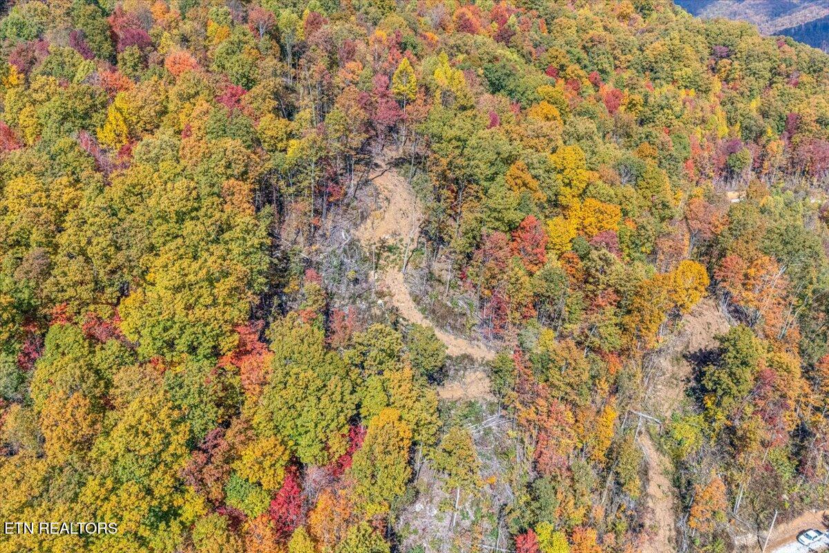 0 Buffalo Road Oneida, TN 37841 - Photo 26 of 51 18-2nd Clearing A1